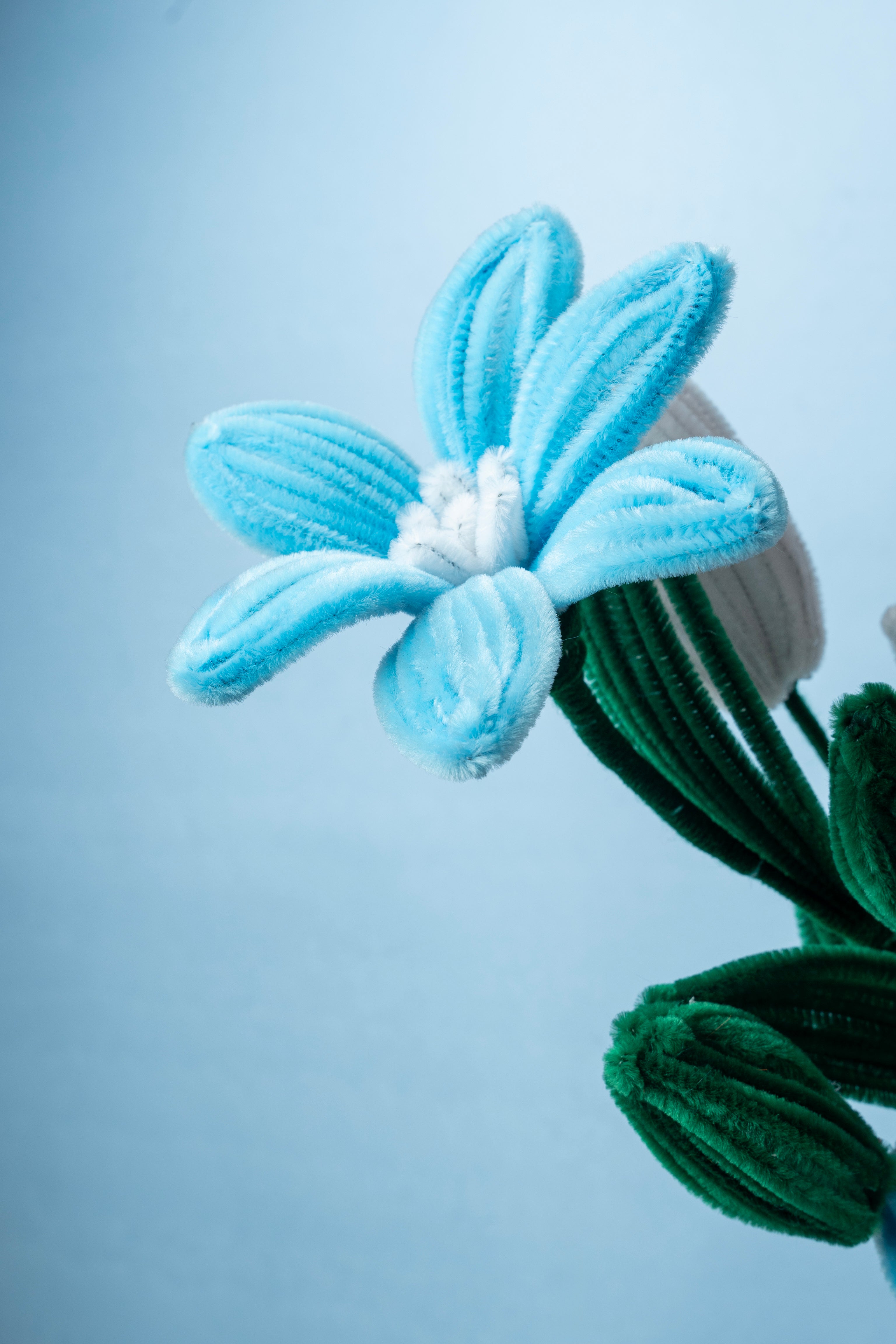 Azure Mist - Valentine’s Gift for Her